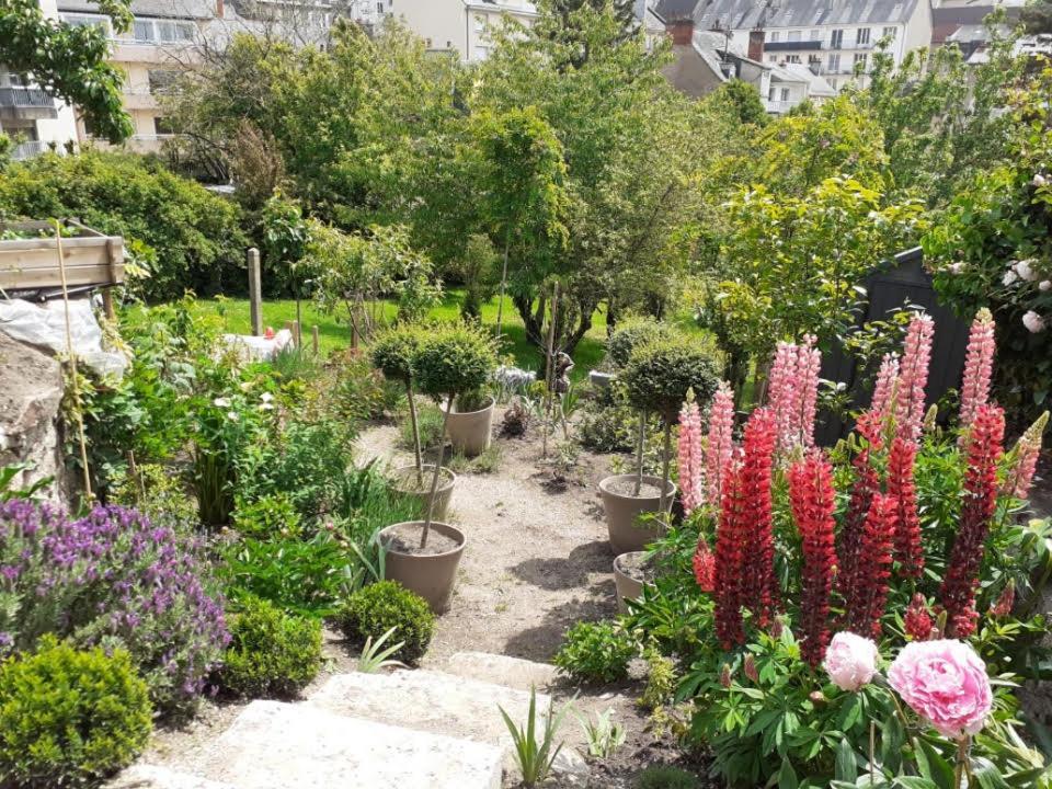 Appartamento Havre De Paix Rodez Esterno foto